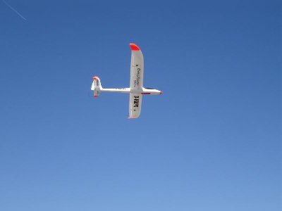 Easy_glider043.jpg