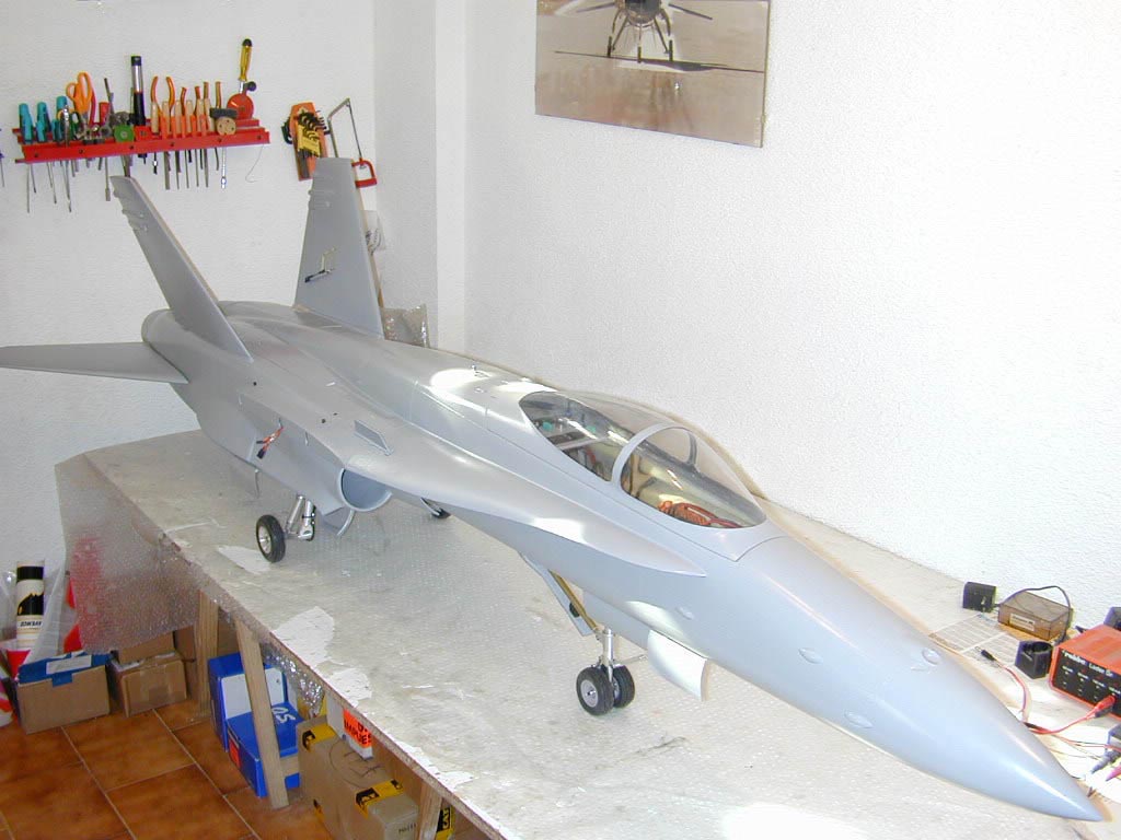 hornet11low.jpg