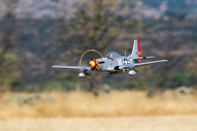 Mustang 6 P51.jpg