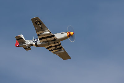 Mustang 3 P51.jpg