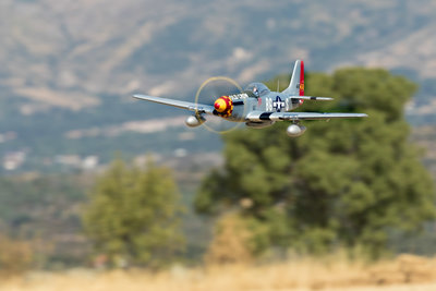 Mustang P51.jpg