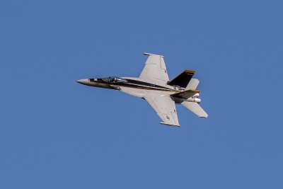 Freewing1 F18.jpg