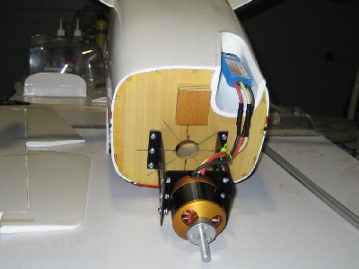 Motor and ESC detail.jpg