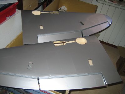 Wing holes for aileron&flap servos and retracts.jpg