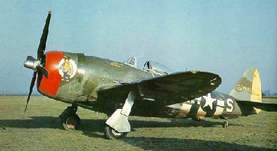 P47 on grass_real warbird.jpg