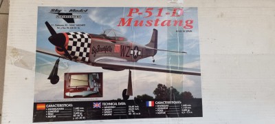 p51 caja.jpg