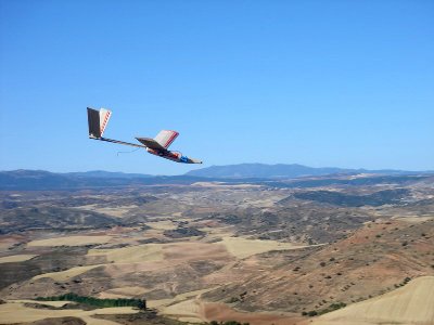 Piraña en vuelo 2.jpg