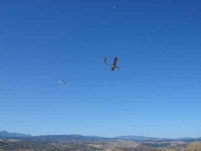 Piraña en vuelo.jpg