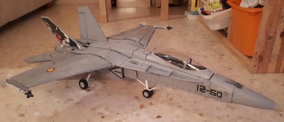 f-18 gato.jpg