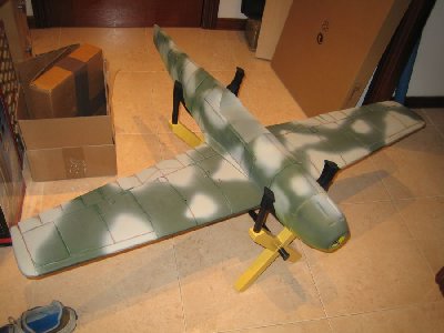 Fuse and wing panels upper view.jpg