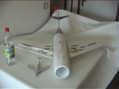 MIG-15 (67).jpg