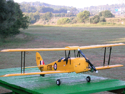 Tiger Moth DerFro.gif