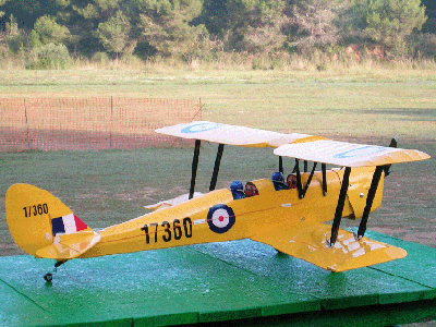 Tiger Moth Der.gif