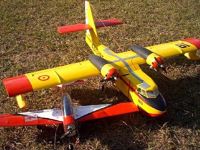 canadair y mi tucanito.JPG