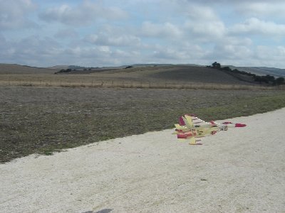 Ozu que viento hacía.JPG