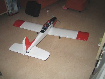 Finished before decals rear view.jpg