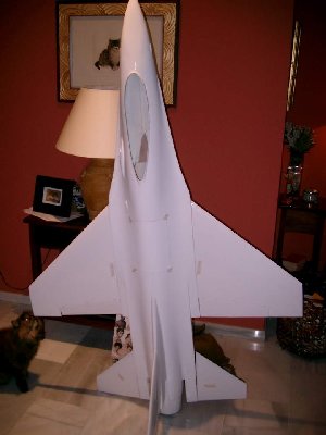 Mi F16(kit).JPG