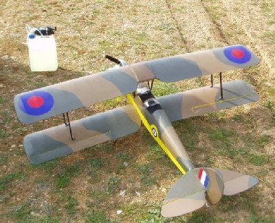 tiger moth2.JPG