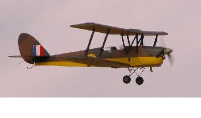 tiger moth1.JPG