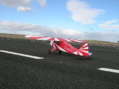 J3 CUB CLIPPED WING.JPG