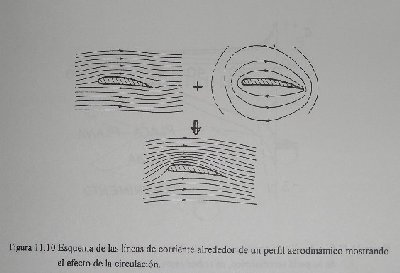 Circulacion.jpg