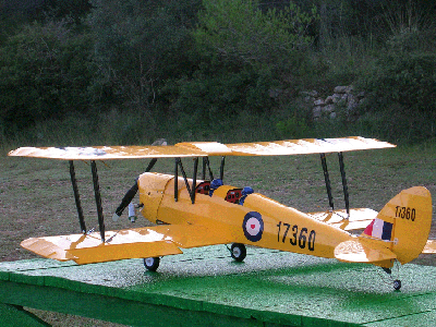 Tiger Moth IzTr.gif