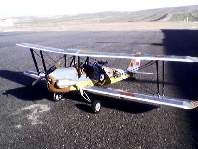 Tiger Moth 001.jpg