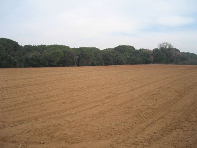 campo2.jpg