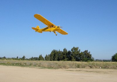 Piper Cub.jpg