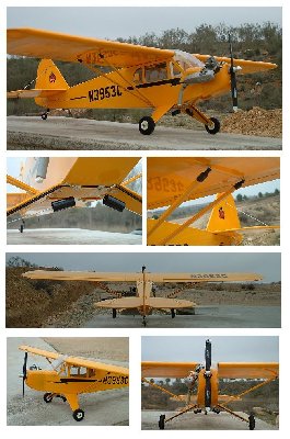 PIPERCUB.JPG