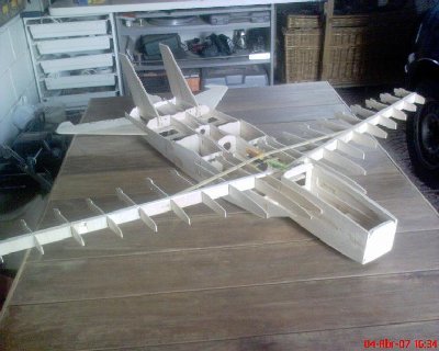 f-14 construyendo.JPG