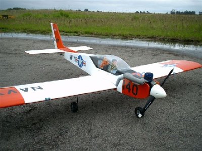 avioncarlosema1.jpg