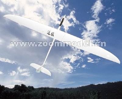 R_C_Sailplane_zoom.jpg