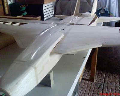 f-14 rc2.JPG