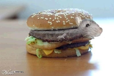 bigmac3.jpg