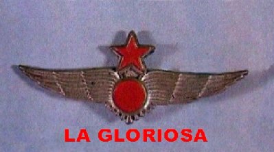 INSIGNIA LA GLORIOSA.jpg