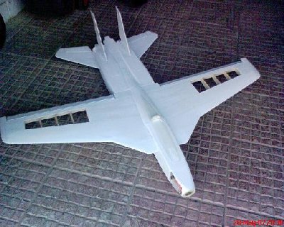 f-14rc4.JPG