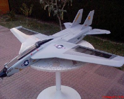 f-14 rc3.JPG