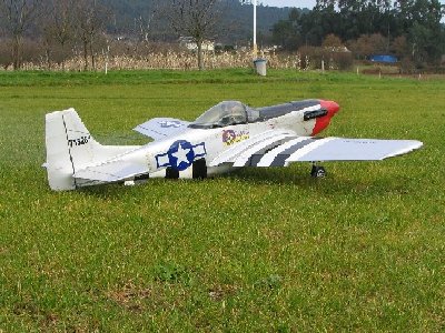 p51_1.jpg