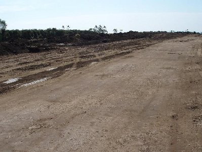 2ºdia obras-2.jpg