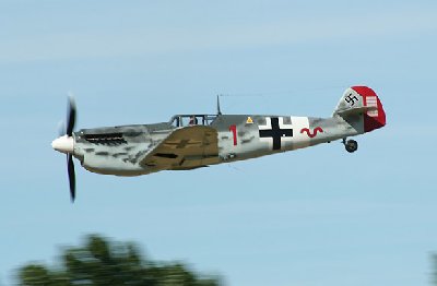 buchon_trev.jpg