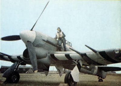 Hawker_Typhoon.jpg