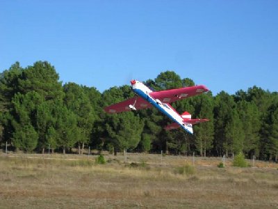 Harrier+.jpg