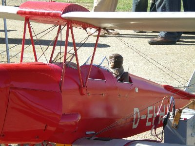 Tiger Moth (8) (Large).JPG