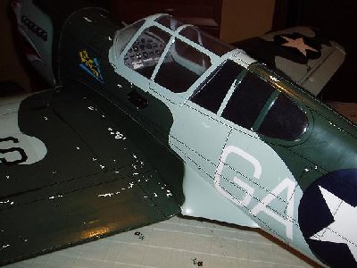 p40 5.JPG