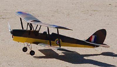 tiger moth.JPG