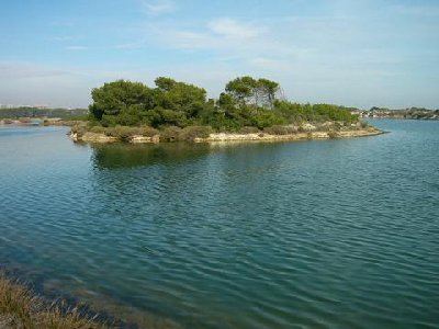 lago del saler.jpg