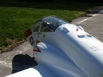 hawk 019.jpg