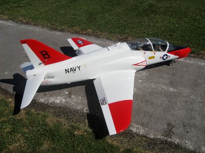 hawk 017.jpg