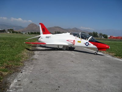 hawk 016.jpg